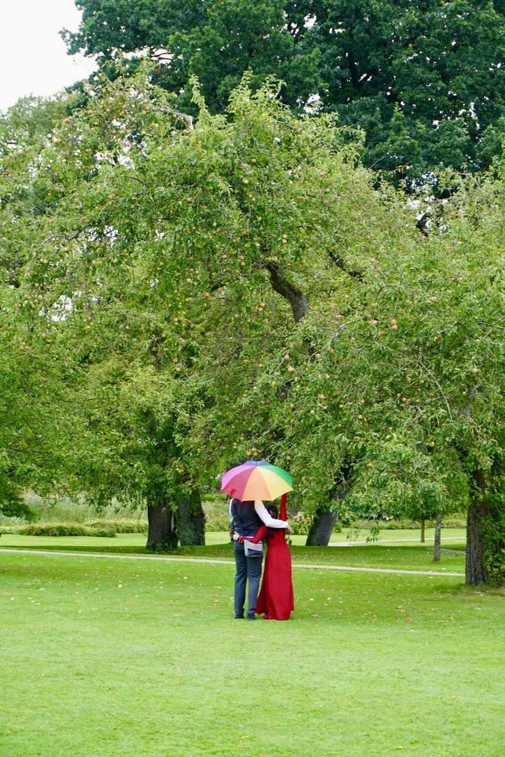 Thiệp cưới online - SB